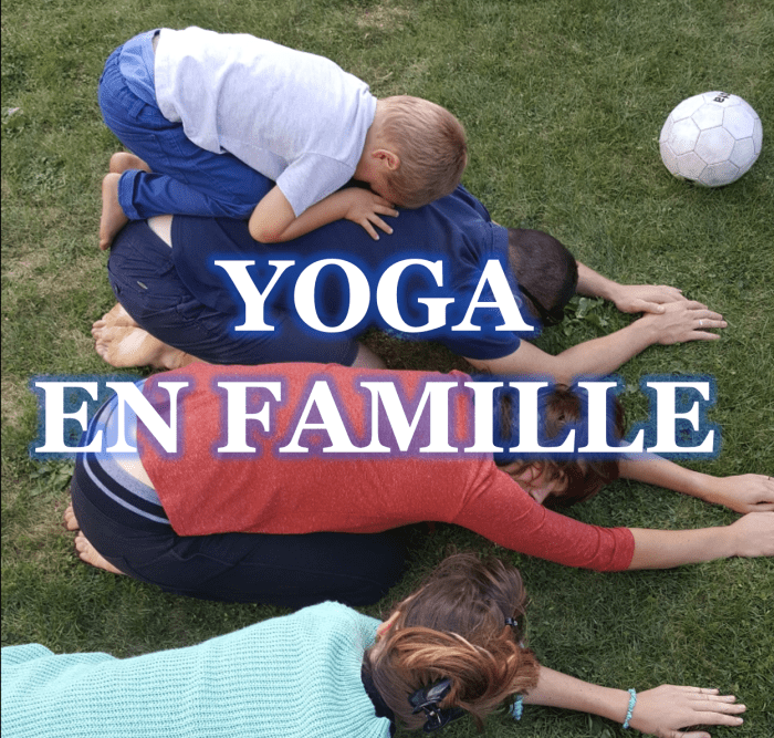 vendredi des vacances scolaire au parc de la Mévelière. Venez fêtez l'été en Famille.