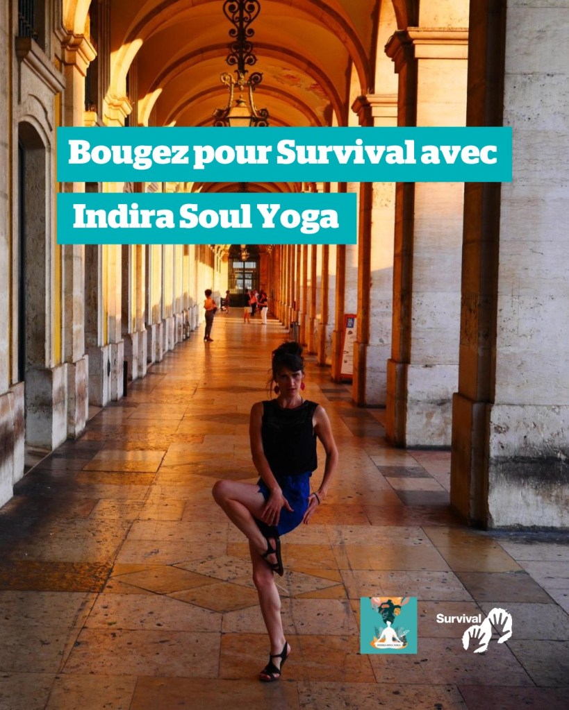 Cours de yoga, Samedi 27 mai de 11h à 12h au parc de la Mévellière.Dons reversés au profit de l'association Survival, pour les droits des peuples autochtones et de la nature.